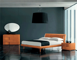 ������� Trandy