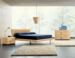 ������� Trendy ������